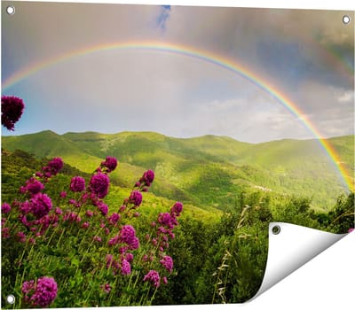 Gards Tuinposter Regenboog in de Heuvel Bossen - 80x60 cm - Tuindoek - Tuindecoratie - Wanddecoratie buiten - Tuinschilderij