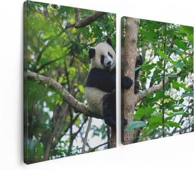 Artaza Canvas Schilderij Tweeluik Panda in de Bomen - 120x80 - Foto Op Canvas - Canvas Print
