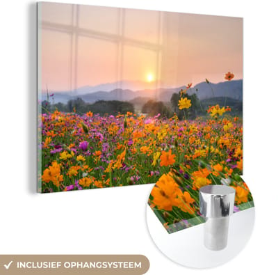 MuchoWow® Glasschilderij 120x80 cm - Schilderij acrylglas - Bloemen - Zonsondergang - Berg - Foto op glas - Schilderijen