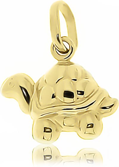 Juwelier Zwartevalk - 14 karaat gouden schildpad hanger - 14.102.021