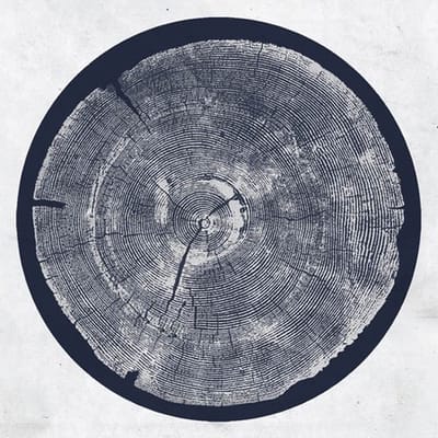 Roy Montgomery - R: Tropic Of Anodyne (LP)