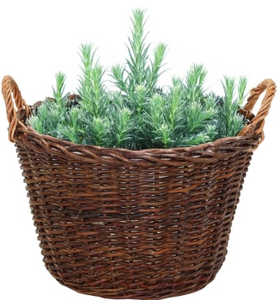Mega Collections plantenmand Santa Fe - D35 x H24 cm - incl handgreep - rotan