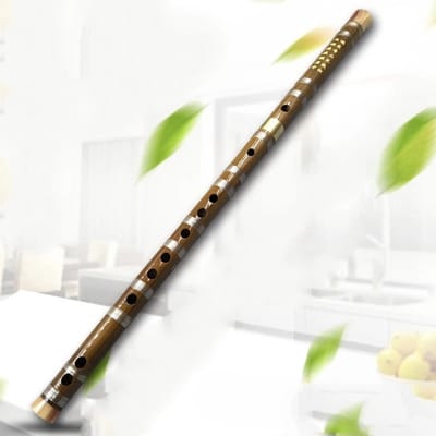 WK Traditionele Chinese Dwarsfluit in D Toon – - 65cm - Handgemaakt van Bitterbamboe | Demonteerbaar & Met Messing Verbinding | Cultureel Instrument