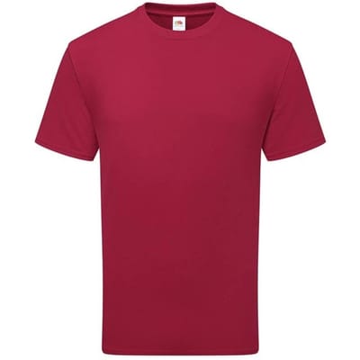 Fruit of the Loom Katoenen uniseks T-shirt voor volwassenen (Veenbes)