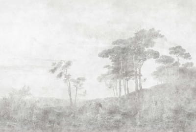Fotobehang romanticgrove2 DD121968 Livingwalls Walls by Patel 3 Grijs Wit Vlies 270 x 400 cm (4 delen) 3D Fotobehang
