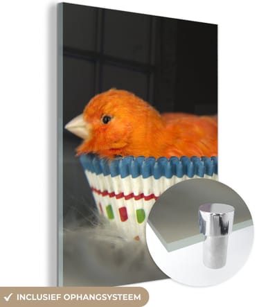 MuchoWow® Glasschilderij 120x160 cm - Schilderij acrylglas - Vogel - Cupcake vormpjes - Portret - Foto op glas - Schilderijen