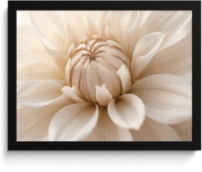 Poster in lijst - Fotolijst 40x30 cm - Posters - Bloem - Dahlia - Wit - Posterlijst zwart - Decoratie - Wanddecoratie woonkamer - Muurdecoratie slaapkamer