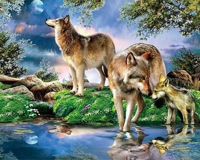 VDTOYS® DIAMOND PAINTING volwassenen - VDT055N - vierkante steentjes - full - groot formaat - nieuwe tekeningen - 55 op 45 cm (canvas) - 50 op 40 (foto)