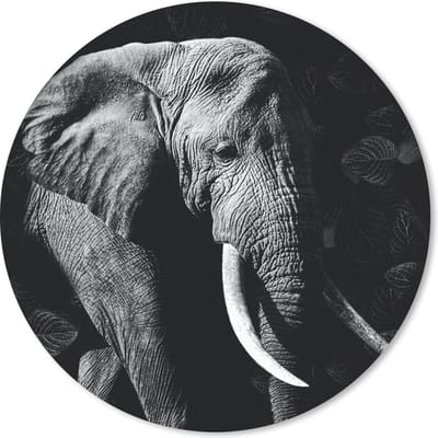 Muismat rond 20x20 cm - Mousepad Olifant - Tanden - Bladeren - Zwart - Wit - Ronde muismatten