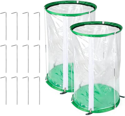 Dailygoods- Mini-Broeikas Draagbaar - PVC - 55 x 30 cm - 6 Bodemverankeringen - Overwintering - Bescherming Planten - Tuinkas