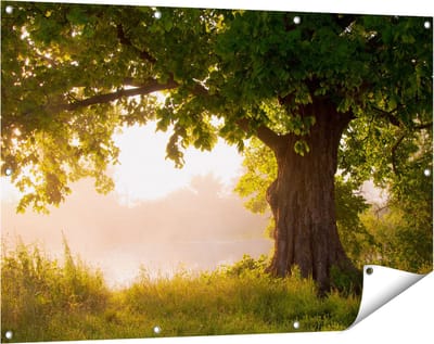 Gards Tuinposter Eikenboom aan het Water met Volle Bladeren - 120x80 cm - Tuindoek - Tuindecoratie - Wanddecoratie buiten - Tuinschilderij