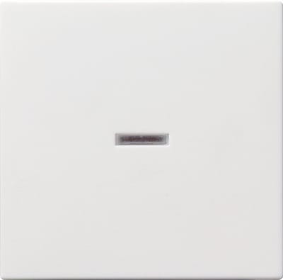 Gira Systeem 55 Besturingselement/Centrale plaat Schakelmateriaal - 029003 - E2FUK