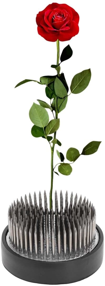 Dailygoods- Bloemenkikker - Roestvrij Staal - Kikker met Naald 60 mm - Bloemstukken - Tafelopzetstukken - Duurzaam Ontwerp - Bloemschikking