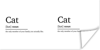 Poster Kat definitie - Woordenboek - Spreuken - Quotes - Cat - 120x60 cm