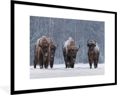 Fotolijst incl. Poster - Dieren - Sneeuw - Amerika - 120x80 cm - Posterlijst - Kerstmis Decoratie - Kerstversiering - Kerstdecoratie Woonkamer - Kerstversiering - Kerstdecoratie voor binnen - Kerstmis