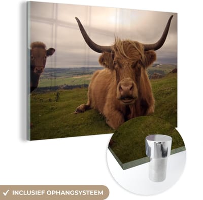 MuchoWow® Glasschilderij 150x100 cm - Schilderij acrylglas - Schotse Hooglander - Dieren - Berg - Foto op glas - Schilderijen