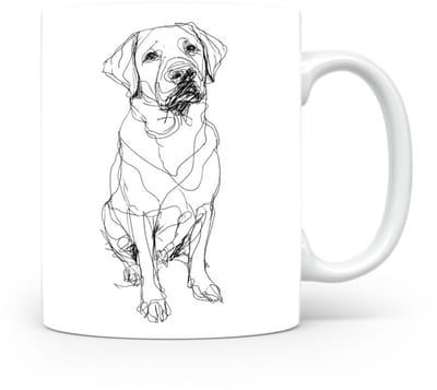 Beker Labrador Retriever