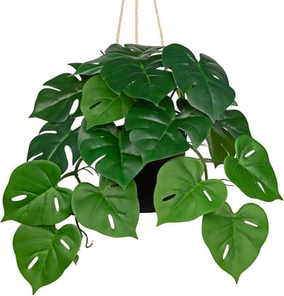 SnelShoppen - Kunstplant Hangend 56 cm Monstera Pot - Kunstplanten in Pot - Plastic Hangplant voor Woonkamer, Slaapkamer, Badkamer - Tropische Decorat