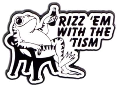 Pin Broche - enamel pin - kledingspeld - Rizz