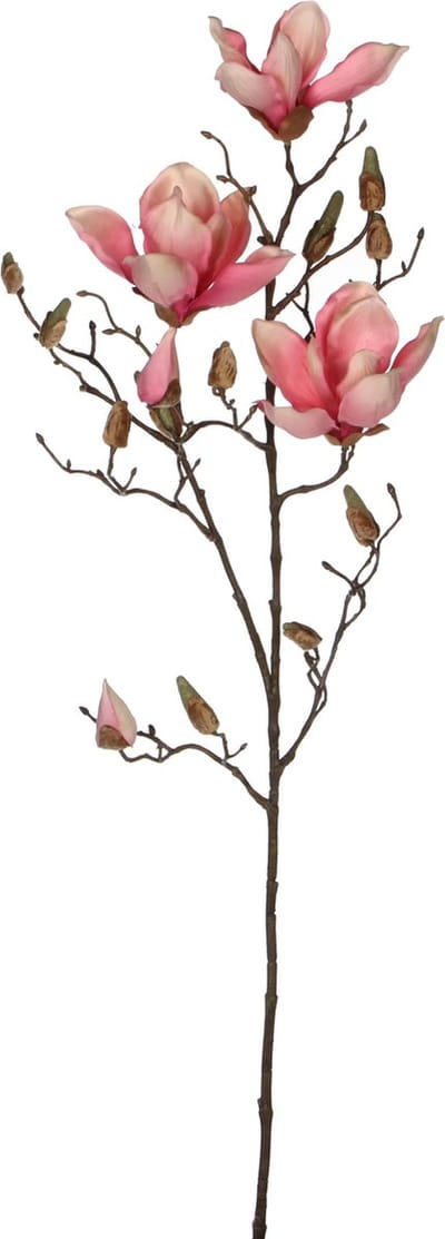Mica Decorations Kunstbloemen - magnolia tree - roze - 80 cm - siertakken - boeket - stelen