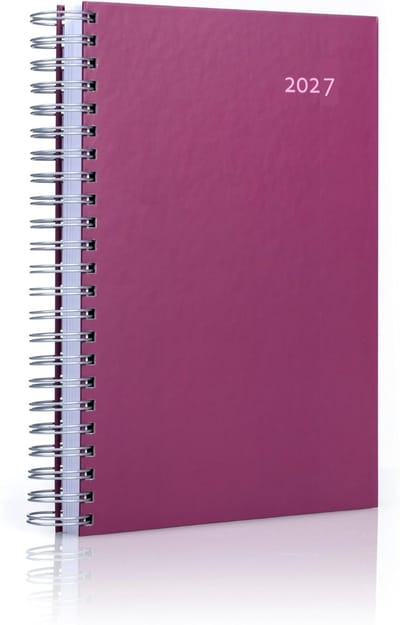 Grote Dagkalender - Planningsboek Agenda - Dagelijkse Planning - Volledige A4 per dag - DIN A4 - Paars