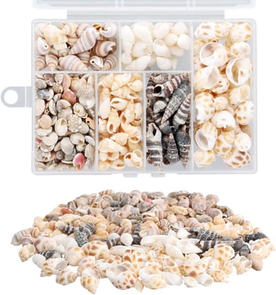 100 Gemengde Schelpen, Decoratieve Natuurlijke Schelpen, Zeeslakken voor Aquariums, Vazen en DIY Projecten, Perfect voor Creatieve Decoraties en Ambachten