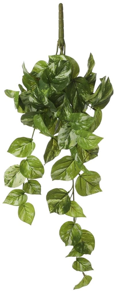 Decoratieve plant Mica Decorations Potos 14 x 58 x 20 cm Hanger