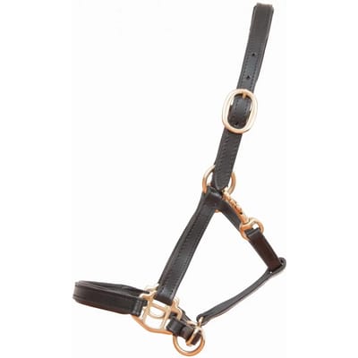 Halsband voor paard in leer veulen of mini T de T