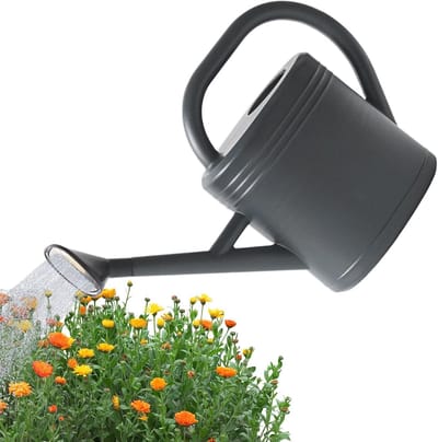 Gieter 3 Liter - Waterkruik Tuin - Planten Water Geven - Lange Nauwkeurige Tuit - 15x29x15 cm - Grijs