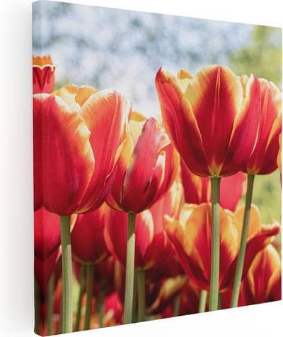 Artaza Canvas Schilderij Tulpen - 80x80 cm - Wanddecoratie Bloemen - Muurdecoratie Lente - Schilderijen Op Canvas