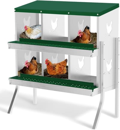 HoerFuriy Kippenhok Nestkast - 6 Legnesten - Verzinkt Staal - Met Poten - Automatisch Afrolsysteem - Eenvoudig te Reinigen - 81,5 x 43 x 89,5 cm - Groen