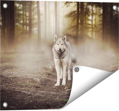 Gards Tuinposter Grijze Wolf in het Bos - 50x40 cm - Tuindoek - Tuindecoratie - Wanddecoratie buiten - Tuinschilderij