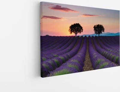 Saammp Canvas Schilderij - Kleurrijk Lavendelveld met bomen - Natuur - Landschap - 45x30 - Foto op canvas - Wanddecoratie - Muurdecoratie Woonkamer - Slaapkamer decoratie - Canvas Print