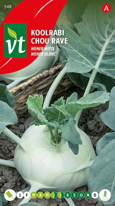 Koolrabi Wener Witte Zaden - Zachte Koolsmaak met Opvallende Planten