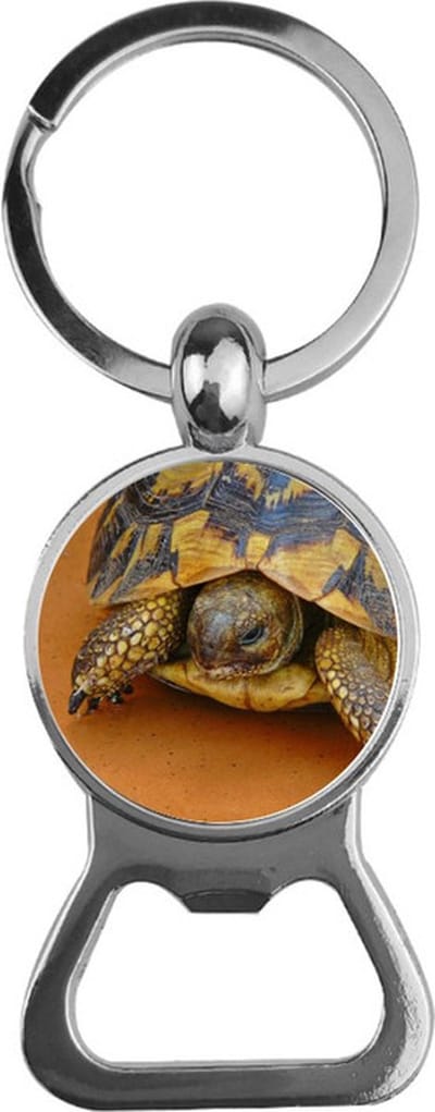 Bieropener Glas - Schildpad