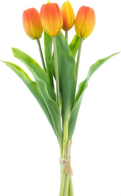 Buitengewoon de boet - Bosje kunst tulpen Holland Sally X5 orange 3...