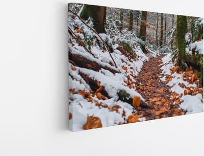 Saammp Canvas Schilderij - Natuur - Winter - Bospad - landschappen - 45x30 - Foto op canvas - Wanddecoratie - Muurdecoratie Woonkamer - Slaapkamer decoratie - Canvas Print