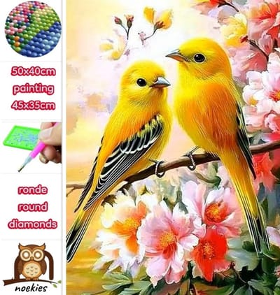 50x40cm Diamond Painting vogels bloementak (rond) nr 144