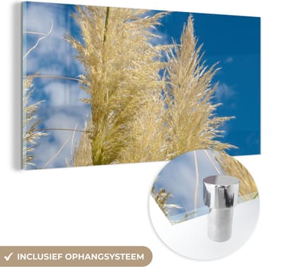 MuchoWow® Glasschilderij 40x20 cm - Schilderij acrylglas - Planten - Pampasgras - Lucht - Foto op glas - Schilderijen