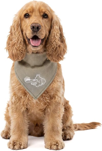 CoolPets Koelband Hond M - Cooling Bandana Hond - Verkoelende Bandana Hondenhalsband - Koelhalsband - Verkoeling Hond - 65 x 30 cm - Beige