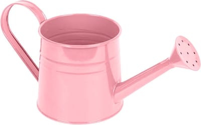 Metalen Gieter - Waterkan Planten - Planten Water Geven - Verlengd Mondstuk - 1 Liter - Roze