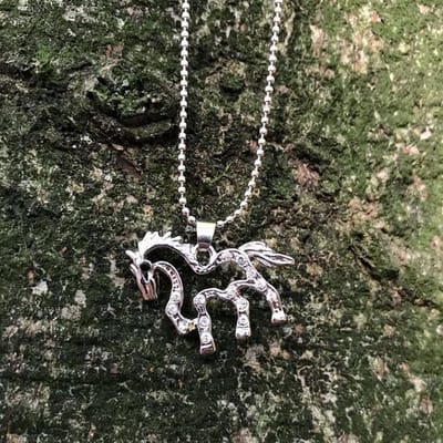 GoiedeDoelen.Shop | Ketting paardje strass | Paarden Ketting | Dieren Sieraad | Dierenwelzijn | Paardenwelzijn | Wellness-House