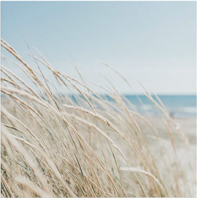 Art for the Home Buitencanvas Strand