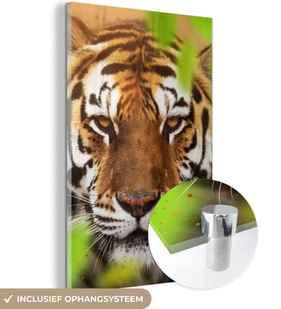 MuchoWow® Glasschilderij 40x60 cm - Schilderij acrylglas - Dieren - Tijger - Roofdieren - Foto op glas - Schilderijen