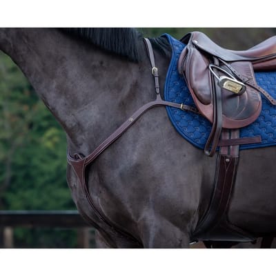 Jachthalsband met lange brug voor paarden Dy'on