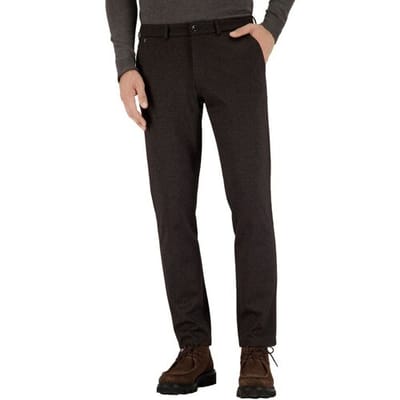 Gardeur Broek Tonic Flanel Touch Printed Jersey Wool Look Bruin / male