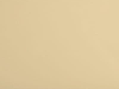 Göldo Pickguard blank 1-ply creme 23x41 slagplaat - Pickguard