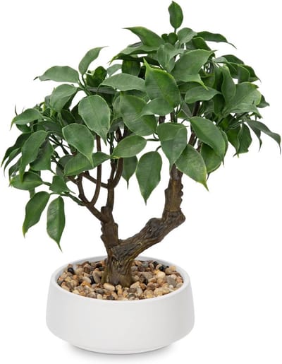 Dailygoods - Oairse Kunstplant Bonsai boom in keramische pot kunstmatige bonsaiboom echte decoratie kunstmatige kamerplanten in potten voor woonkamer slaapkamer badkamer vensterbank decoratie