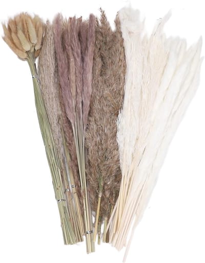 Gedroogd Pampasgras - Droogboeket Natuurlijk - Bruiloft Decoratie - Handgeplukte Kwaliteit - 43 cm Hoog - Warm Herfstpalet