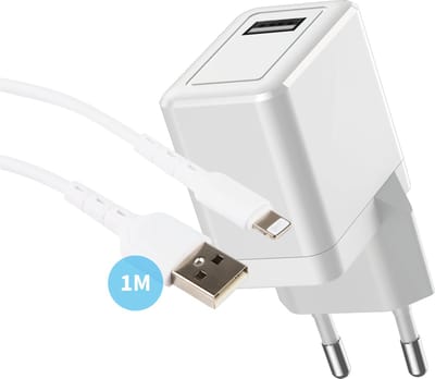Oplader geschikt voor iPhone & iPad - Lightning naar usb kabel - 12w usb Adapter - 1 Meter - Set